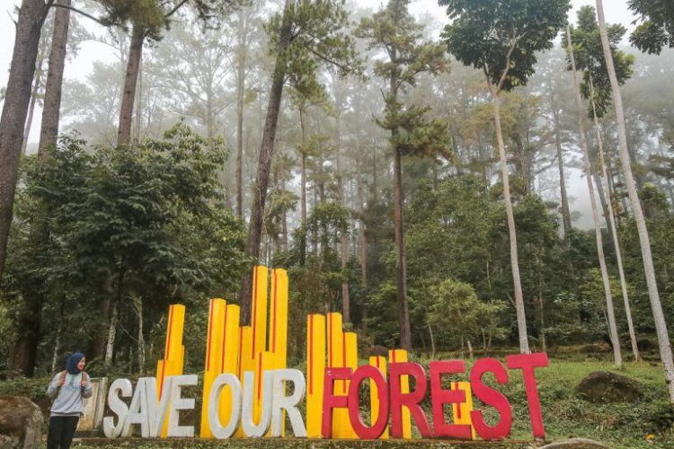 Taman Hutan Raya Pocut Meurah Intan, Tempat  Wisata Edukasi Bersama Keluarga