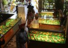 49 PERSEBATIAN MELAYU-BUGIS (4): Era Kejayaan Kerajaan Johor-Riau dan Perang Riau